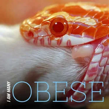 Obese by I Am Many - album cover