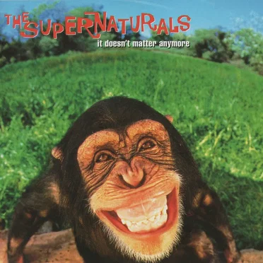 It Doesn’t Matter Anymore by The Supernaturals - album cover