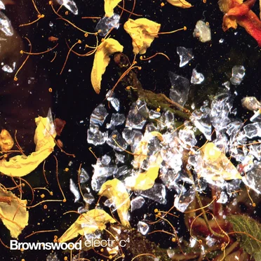 Brownswood Electr*c 4 by Various Artists - album cover