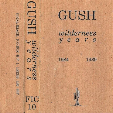 Wilderness Years 1984-1989 by Gush - album cover