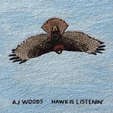 Hawk is Listenin' by AJ Woods - album cover