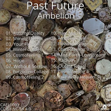 Past Future