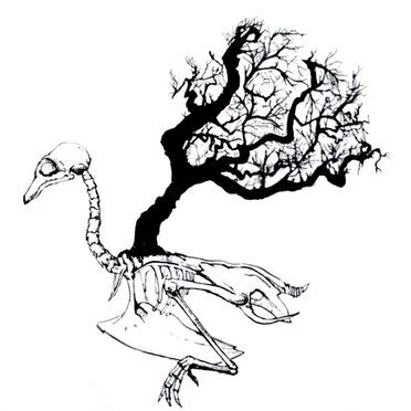 Seasonal Affective by Various Artists - album cover