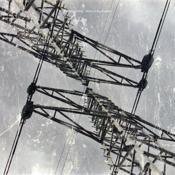 Frenzy of the Absolute