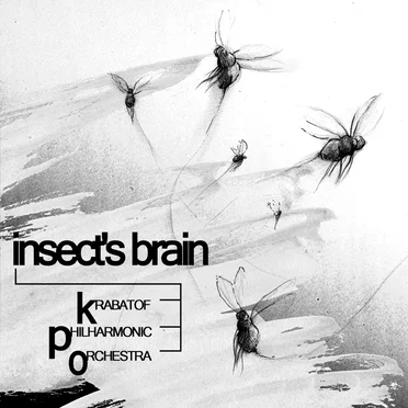Insect's Brain by Krabatof Philharmonic Orchestra - album cover