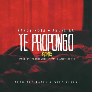 Te propongo (remix)