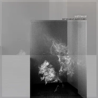 Dünyadan Kovuldu by Sahtekar - album cover