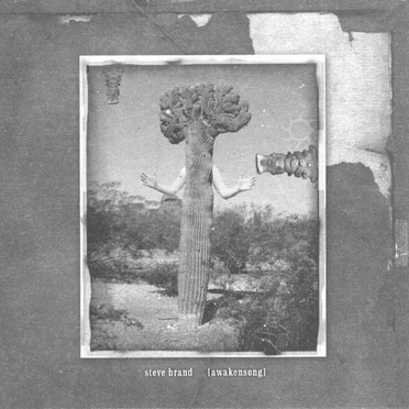 Awakensong by Steve Brand - album cover