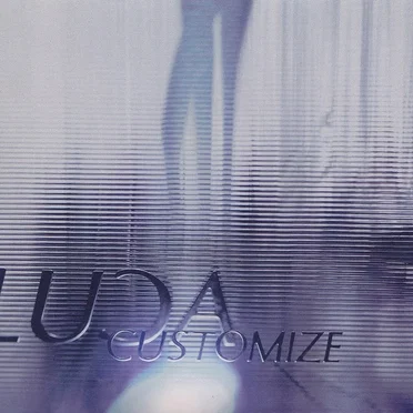 CUSTOMIZE