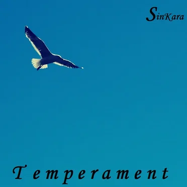 Temperament by SinKara - album cover