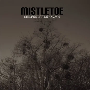 MISTLETOE