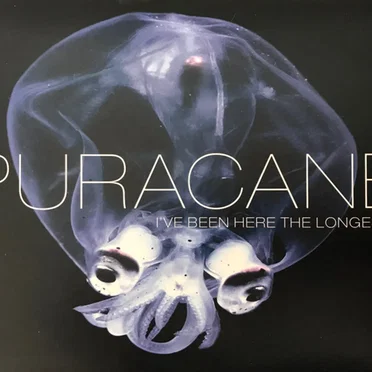 I've Been Here the Longest by Puracane - album cover