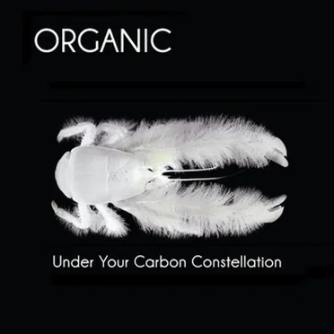 Under Your Carbon Constellation by Organic - album cover