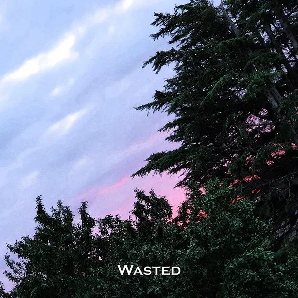 Wasted