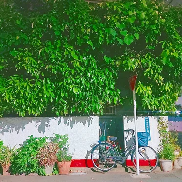 Waltz in small garden by Niwamori Piano - album cover