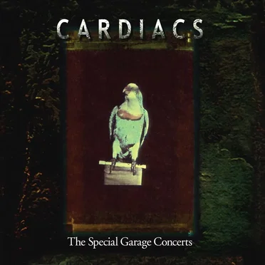 The Special Garage Concerts, Vol I & II