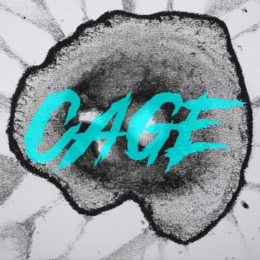 Cage (acoustic)