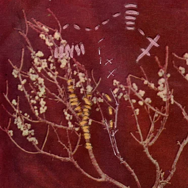 Nothing’s Out to Get You