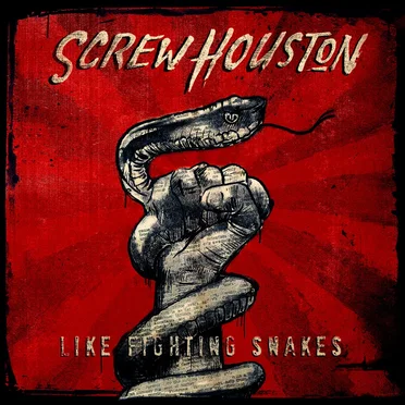 Like Fighting Snakes by Screw Houston - album cover