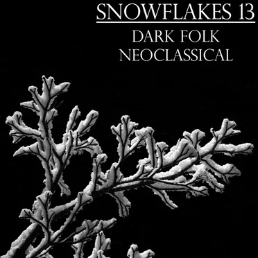 Snowflakes 13 by Various Artists - album cover