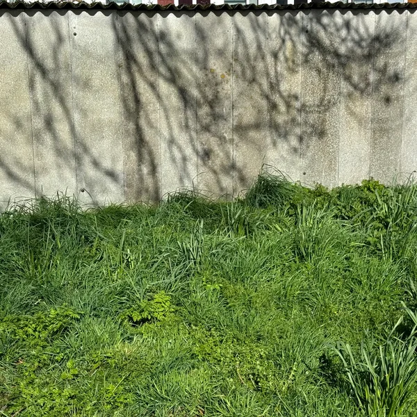 Landscape III