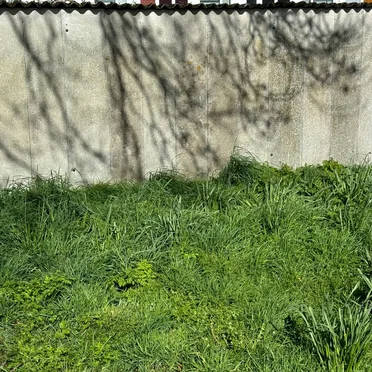 Landscape III