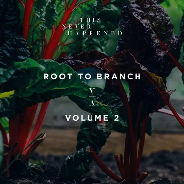 Root to Branch, Volume 2 by Various Artists - album cover