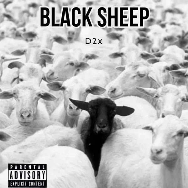 Blaxk Sheep