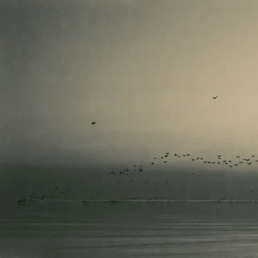Calmness of Resolve by The Weir - album cover