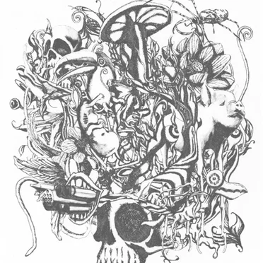 anima