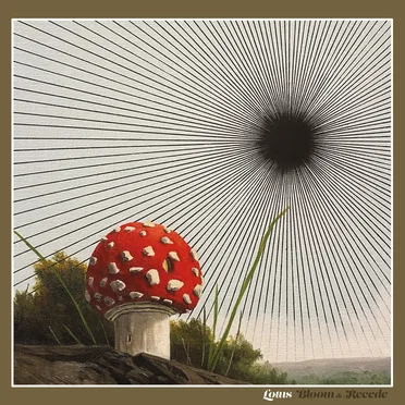 Bloom & Recede