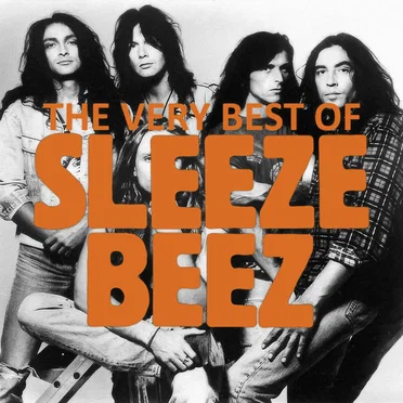 The Very Best of Sleeze Beez