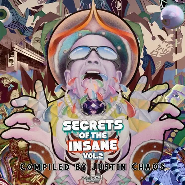Secrets of the Insane, Vol. 2 by Various Artists - album cover