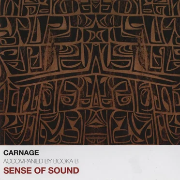 Sense of Sound