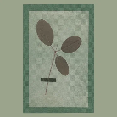 Upward Eyes / Kindred