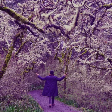 In the Valley of the Purple Prince by Iceberg Ferg - album cover