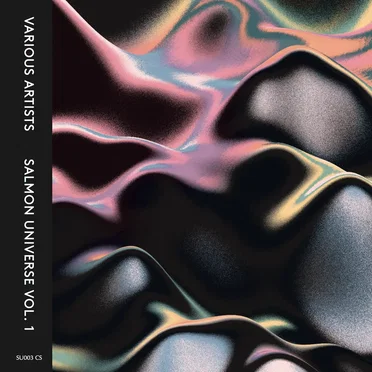 Salmon Universe Vol. 1 by Various Artists - album cover