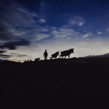 A Shepherds Life