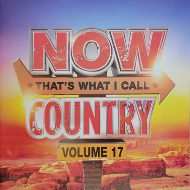 Now That's What I Call Country, Volume 17 by Various Artists - album cover