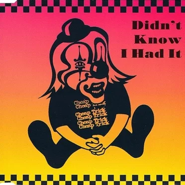 Didn't Know I Had It