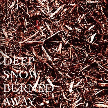 DEEP SNOW BURNED AWAY by the god and death stars - album cover