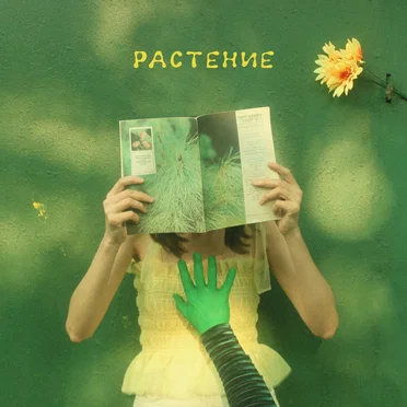 Растение by Салон Растений - album cover