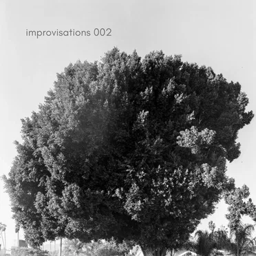 improvisations 002 by cairo mn - album cover