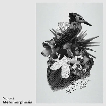 Metamorphosis
