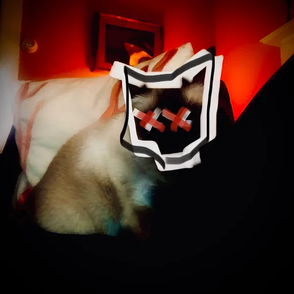 Them Kitty Bones
