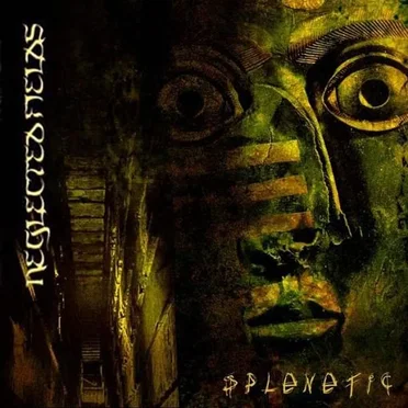 Splenetic by Neglected Fields - album cover
