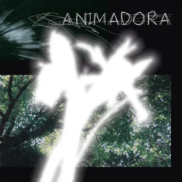 Sobre lo visible by Animadora - album cover