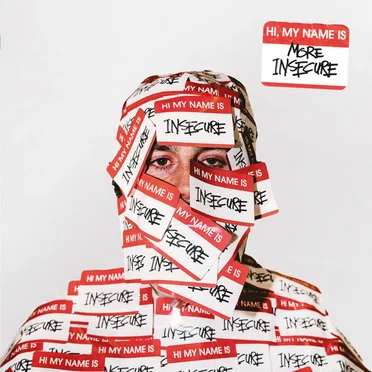 hi, my name is insecure. (more)