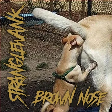 Brown Nose by Stranglewank - album cover