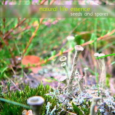 seeds and spores